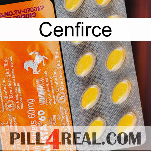 Cenfirce new05.jpg